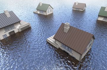 Water Damage Mitigation